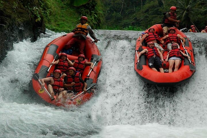 Telaga Waja River Rafting: 17km Whitewater Adventure from Ubud