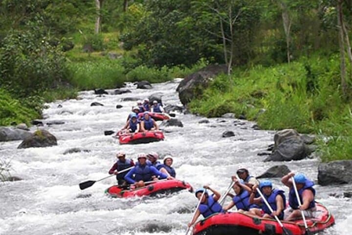 Telaga Waja River Rafting: 17km Whitewater Adventure from Ubud photo 5