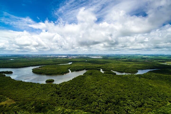 7-Day Jungle Camping Survivor: Amazon Expedition from Iquitos photo 3