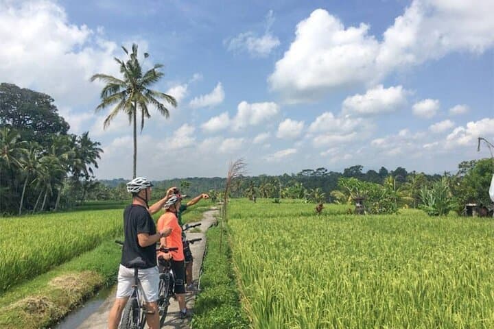 Kintamani Downhill Cycling: 27km Volcano-to-Village Ride from Ubud photo 3