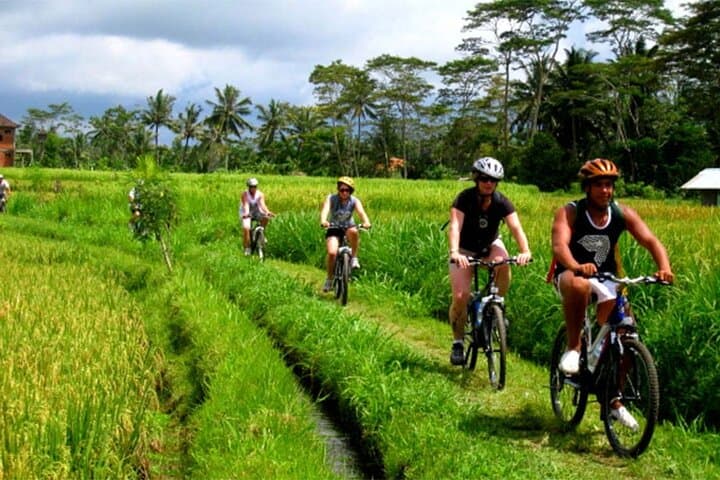 Kintamani Downhill Cycling: 27km Volcano-to-Village Ride from Ubud photo 1