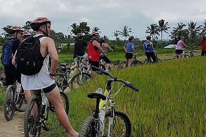 Kintamani Downhill Cycling: 27km Volcano-to-Village Ride from Ubud photo 4