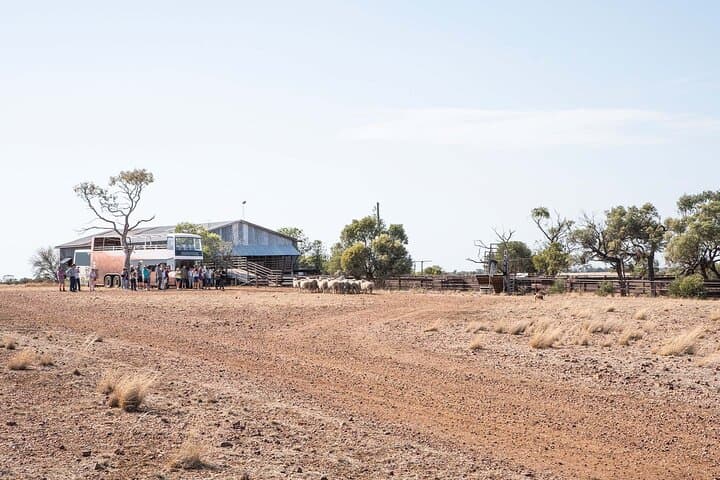 Nogo Station Experience: Longreach Outback Station Tour and Open-Top Safari