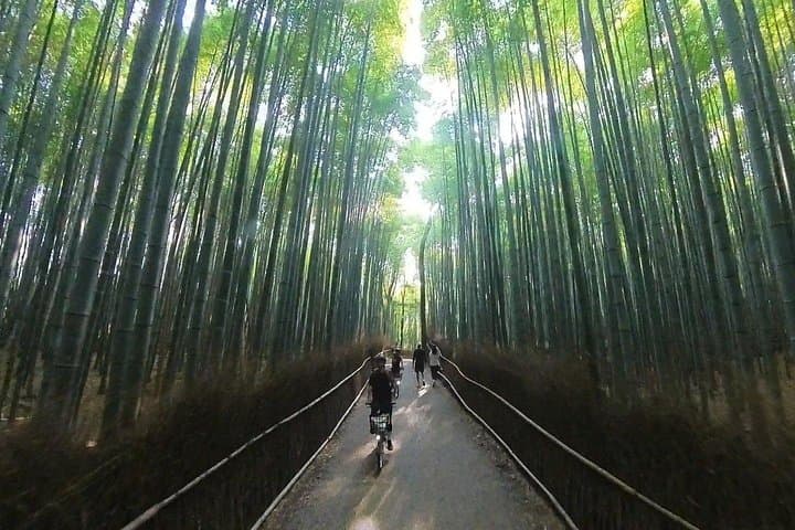 E-Bike Arashiyama: Cycle the Bamboo Grove, Tenryuji & Rural Paddies photo 3
