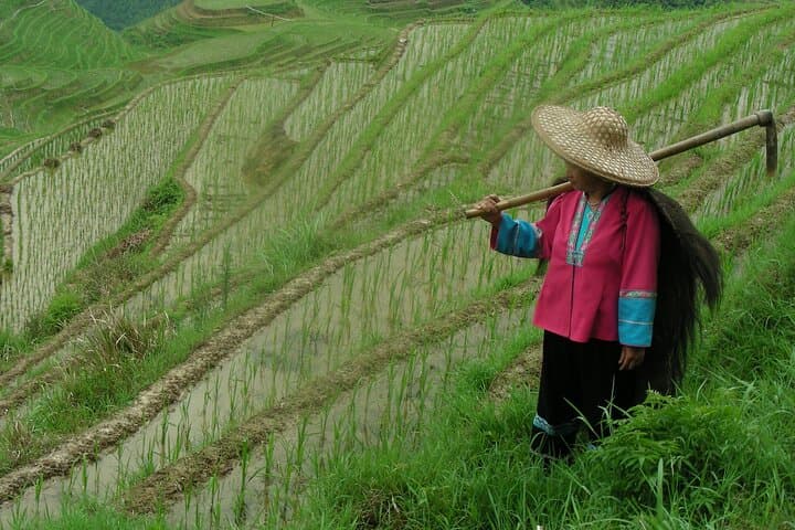 Longji Rice Terraces Private Day Tour from Guilin — Ping’an & Yao Villages photo 5