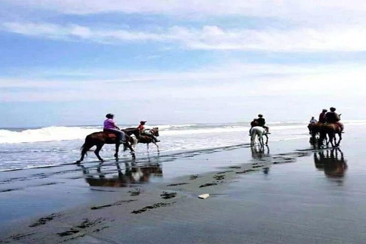 Horse Riding on Bali’s Black Sand Beach: Coastal Ride from Ubud (30–60 min) photo 2