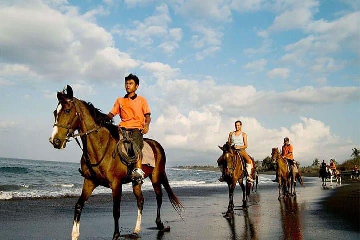 Horse Riding on Bali’s Black Sand Beach: Coastal Ride from Ubud (30–60 min) photo 3