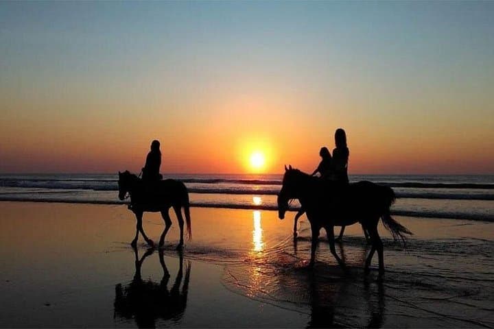 Horse Riding on Bali’s Black Sand Beach: Coastal Ride from Ubud (30–60 min) photo 4