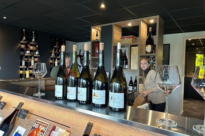Beaujolais and South Burgundy Private Full-Day Wine Tour from Lyon photo 2