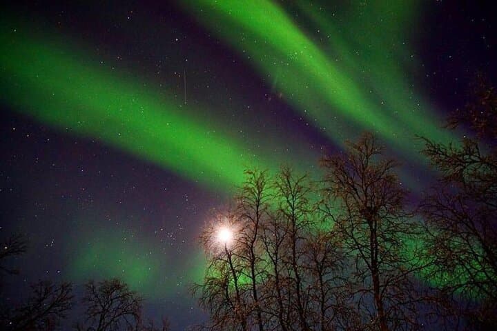 Tromsø Evening Arctic Fun: Sledding, Mini-Skiing & Sami Lasso Experience photo 3