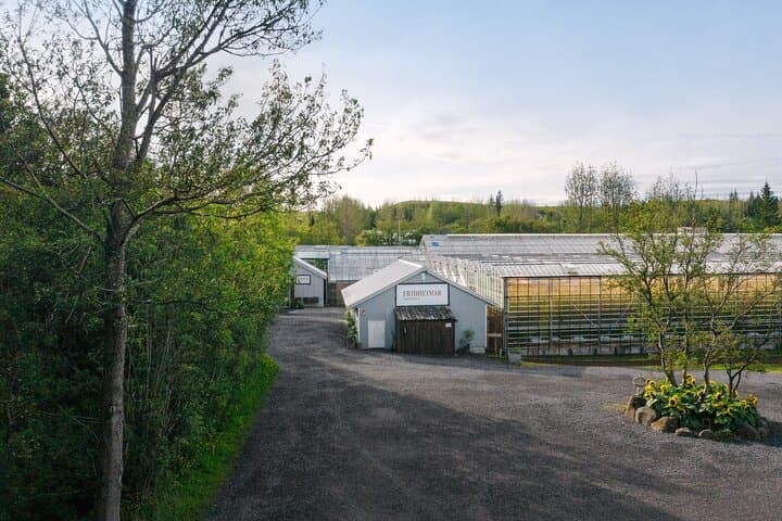 Private Golden Circle Day Trip: Secret Lagoon & Friðheimar Greenhouse photo 6