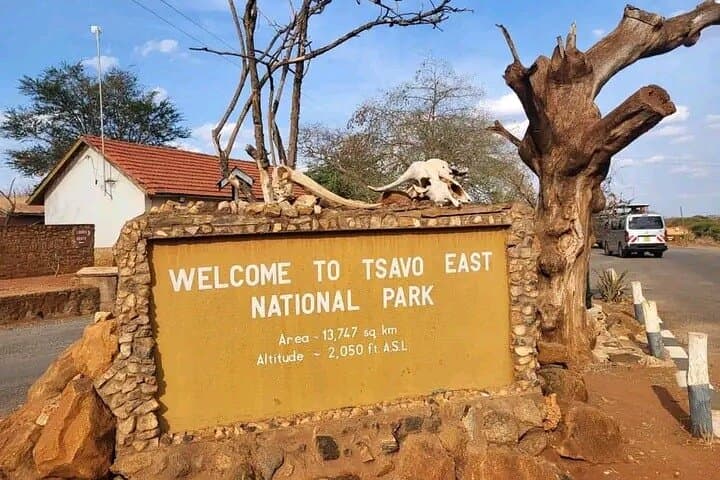 Tsavo East One-Day Safari: Big Five Game Drive from Diani Beach
