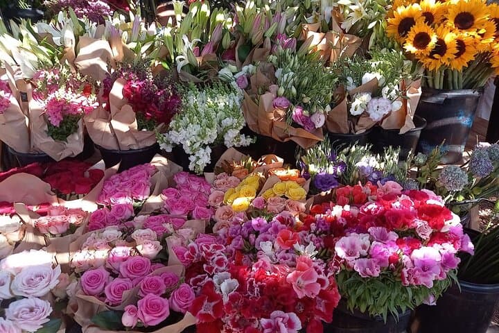 Full-Day Cape Town City Tour – Mother City Highlights photo 2