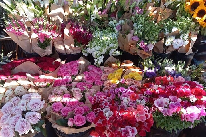 Full-Day Cape Town City Tour – Mother City Highlights photo 3