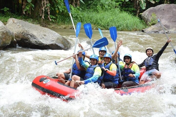Ayung River Rafting in Ubud: 2-Hour Adventure with Buffet Lunch photo 4