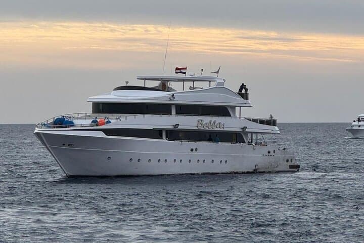 Sataya Reef Dolphin Snorkel Day Trip from Marsa Alam photo 2
