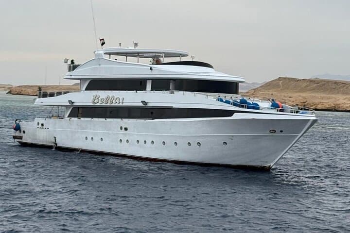 Dolphin House Snorkel & Intro Dive at Samadai Reef — Marsa Alam Red Sea Adventure photo 3