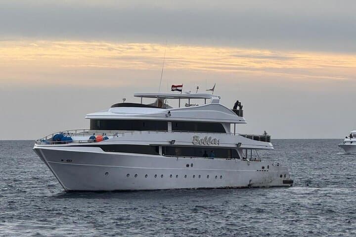 Red Sea Intro Dive from Hurghada — Boat Trip with Lunch & Transfers photo 4