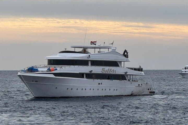 Hula Hula Paradise Island Snorkel & Intro Dive from Hurghada photo 4