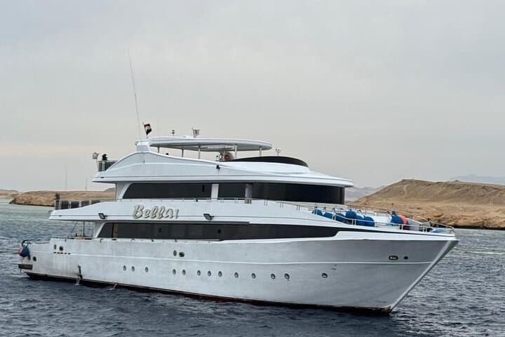Ras Mohamed and White Island Snorkeling & Diving Day Trip from Sharm El Sheikh photo 4