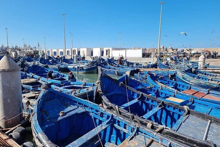 Marrakech to Essaouira: Full-Day Coastal Escape to Mogador photo 1