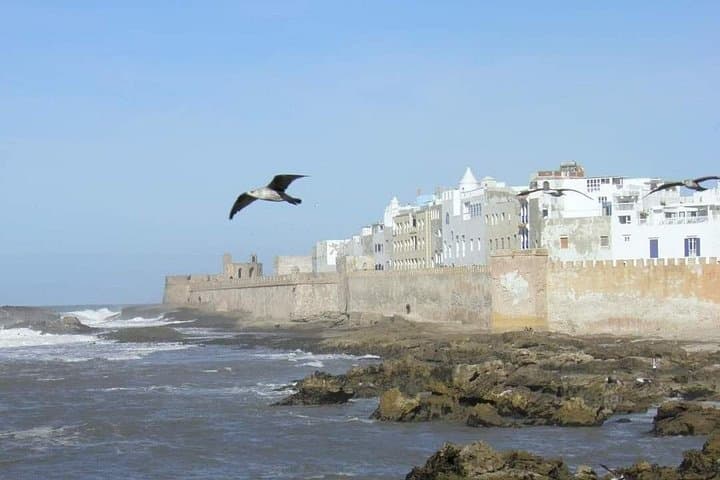 Marrakech to Essaouira: Full-Day Coastal Escape to Mogador photo 2