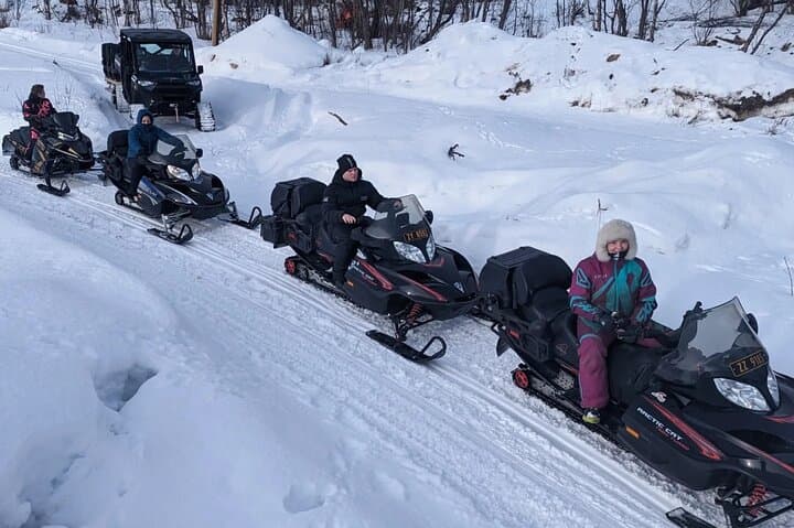 Alta snowmobile and UTV forestry safari: drive snowfields and test axe skills