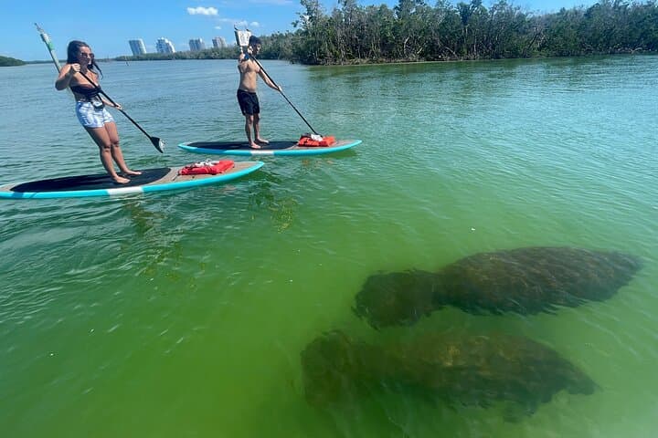 SUP in Naples, Florida