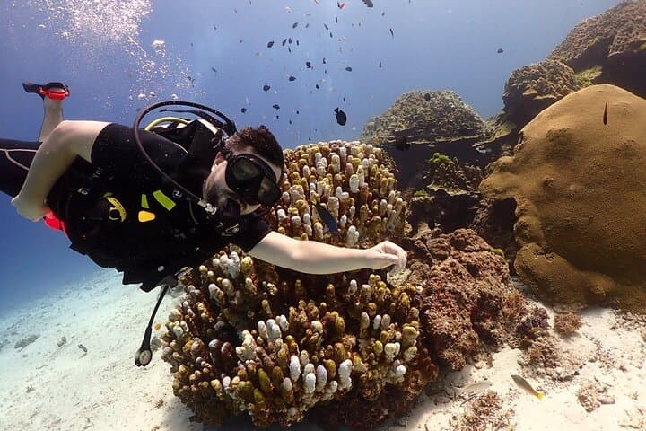 Try Scuba Diving in Racha Yai and Noi — Non-Certified 2-Dive Trip from Phuket photo 2