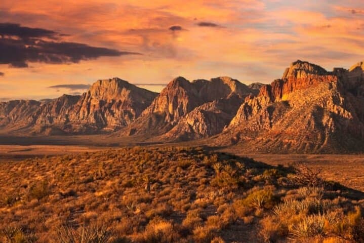 Red Rock Canyon Guided Hike — Wild Burros, Petroglyphs & Desert Waterfalls photo 4