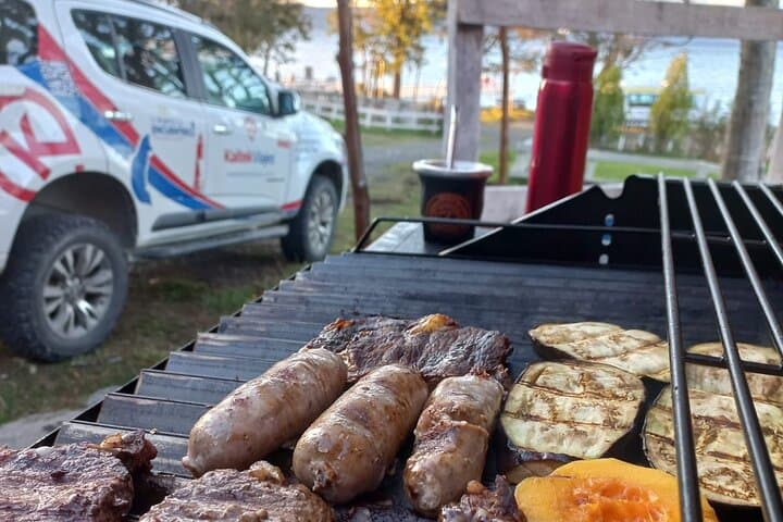 Beaver Watching and Dinner at Lake Fagnano — Ushuaia Wildlife Tour photo 5