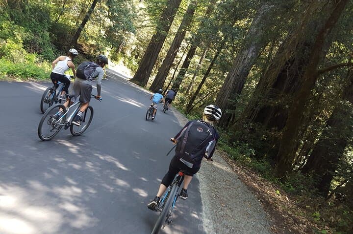 E-Bike the Avenue of the Giants: 4-Hour Redwood Forest Tour photo 3