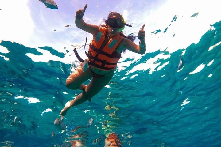 Glass-Bottom Boat & Snorkel: Cozumel's Punta Norte to Legos Reef photo 5