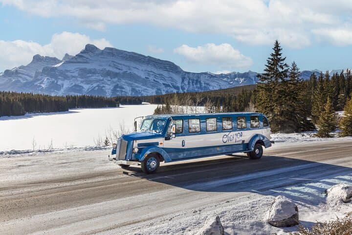 Banff Winter Wonder Tour & Nightrise Gondola Experience photo 2