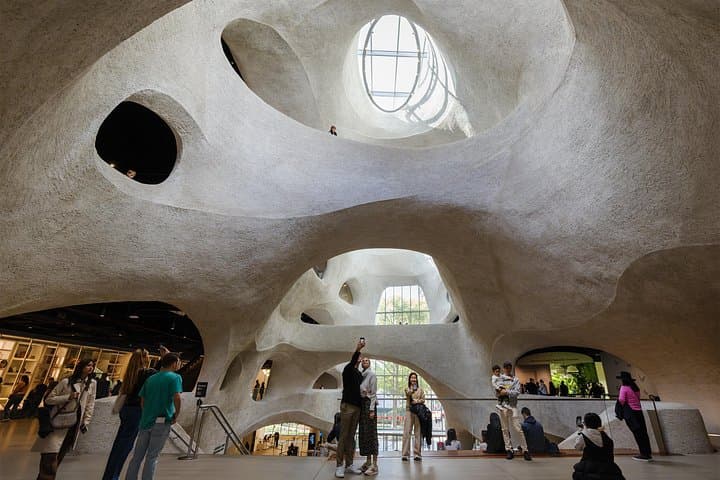 Visit the American Museum of Natural History: Practical Guide to NYC’s Iconic Science Museum photo 1