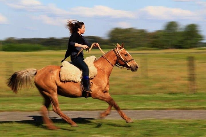 Ride an Argentine Estancia: Horseback & Asado Experience Near Buenos Aires photo 3