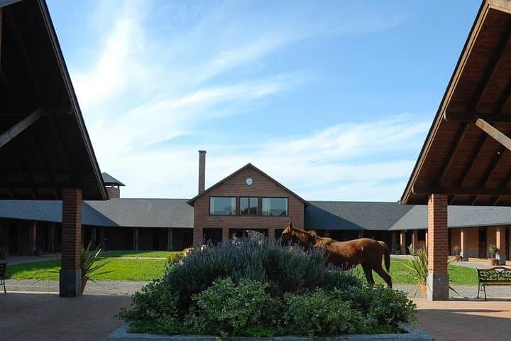 Ride an Argentine Estancia: Horseback & Asado Experience Near Buenos Aires photo 4