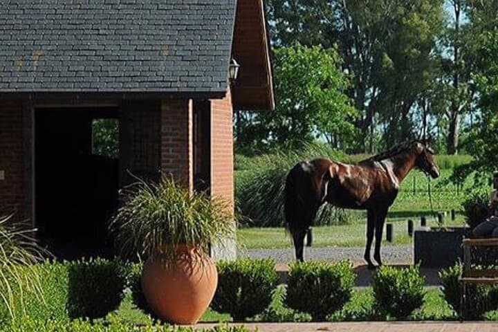 Private Estancia Day: Helicopter Transfer, Gaucho Horseback Ride & Argentinian Asado photo 6
