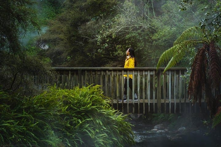 Full Waimangu Experience: Walk & Lake Rotomahana Geothermal Cruise photo 3
