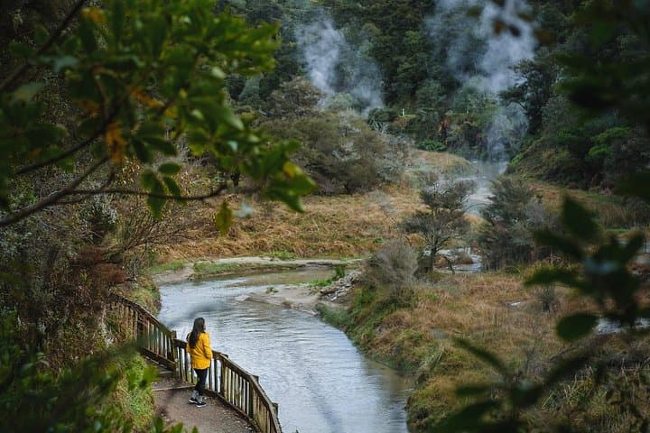Full Waimangu Experience: Walk & Lake Rotomahana Geothermal Cruise photo 4