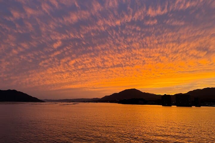 Hiroshima & Miyajima Private Day Tour — Peace Park, Floating Torii, Local Guide photo 5