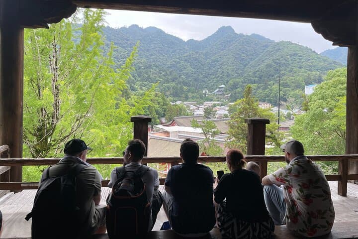 Hiroshima & Miyajima Private Day Tour — Peace Park, Floating Torii, Local Guide photo 4