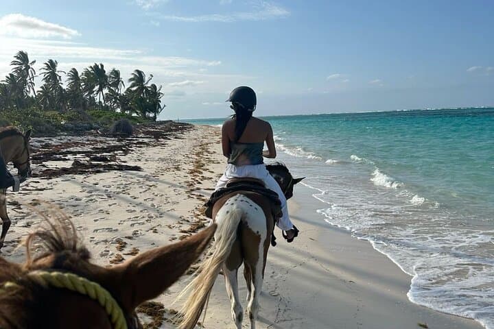 Bali Beach Horse Riding & Kantolampo Waterfall — Full-Day All-Inclusive Tour