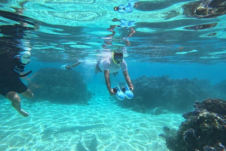 Underwater Scooter Snorkeling in Tahiti – Lagoon Scooter Tours & Turtle Encounters photo 4