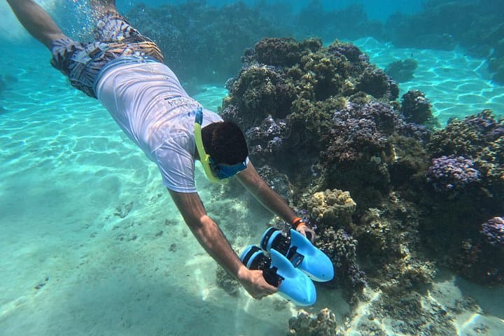Underwater Scooter Snorkeling in Tahiti – Lagoon Scooter Tours & Turtle Encounters photo 1