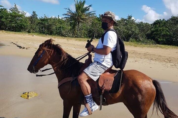 Horseback Riding on Maimon Beach: Puerto Plata Coastal Trail Ride photo 4