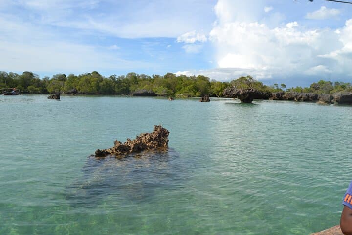 Safari Blue: Private Dhow Tour to Kwale Island & Blue Lagoon, Zanzibar photo 2