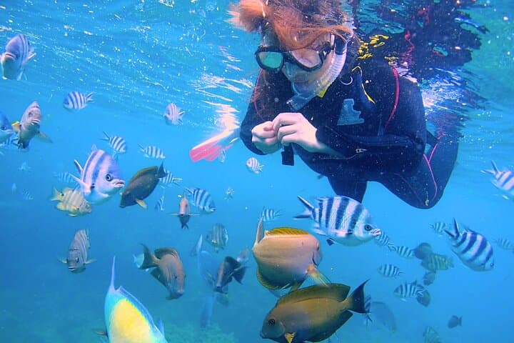 Blue Cave Boat Snorkeling at Cape Maeda — Okinawa Boat Snorkel with Free Underwater Photos photo 2
