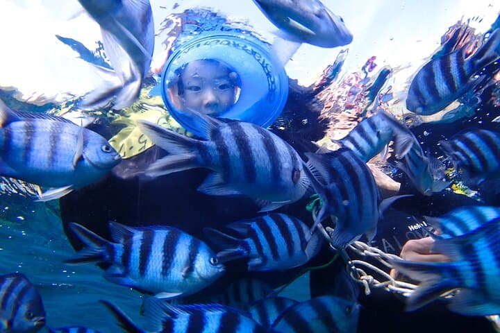 Blue Cave Boat Snorkeling at Cape Maeda — Okinawa Boat Snorkel with Free Underwater Photos photo 3