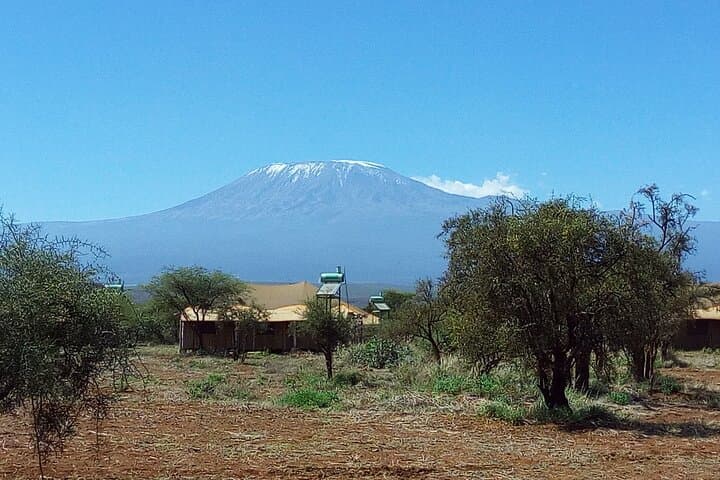 Amboseli Day Safari: Elephants, Plains Game and Kilimanjaro Views photo 6
